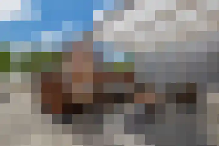 De Waard 233 Groningen thumbnail 4