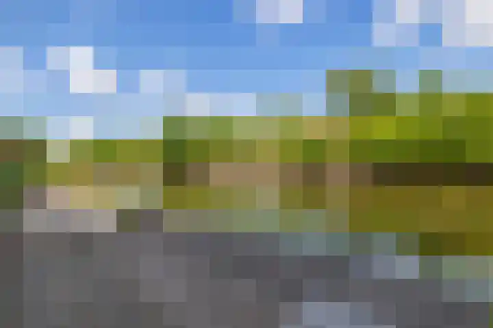 De Waard 233 Groningen thumbnail 42