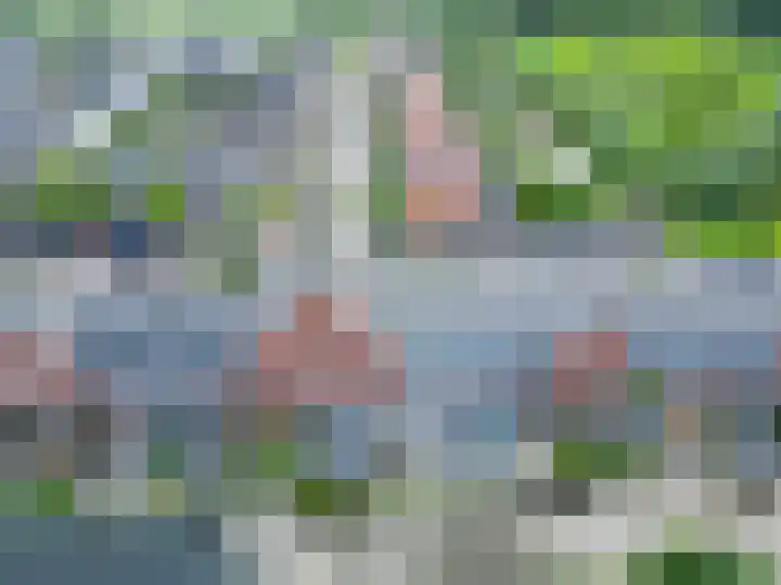 De Waard 233 Groningen thumbnail 43
