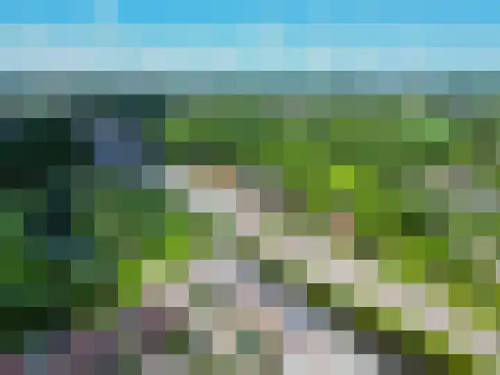 De Waard 233 Groningen thumbnail 45
