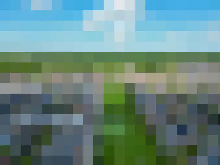 De Waard 233 Groningen thumbnail 47
