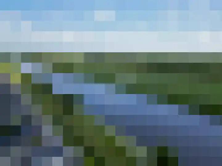 De Waard 233 Groningen thumbnail 48