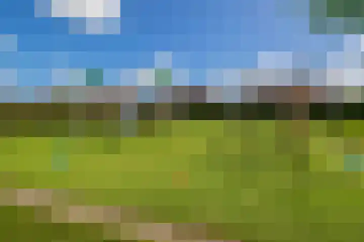 De Waard 233 Groningen thumbnail 49