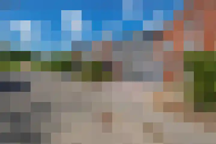 De Waard 233 Groningen thumbnail 52