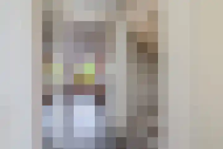 De Waard 233 Groningen thumbnail 8