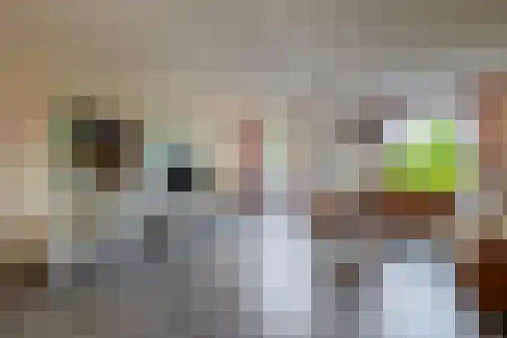 De Waard 233 Groningen thumbnail 9