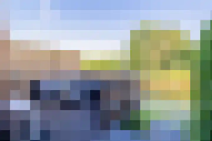 De Waard 25 Groningen thumbnail 14