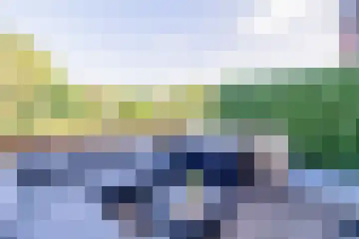 De Waard 25 Groningen thumbnail 15