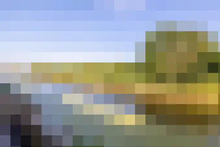 De Waard 25 Groningen thumbnail 16
