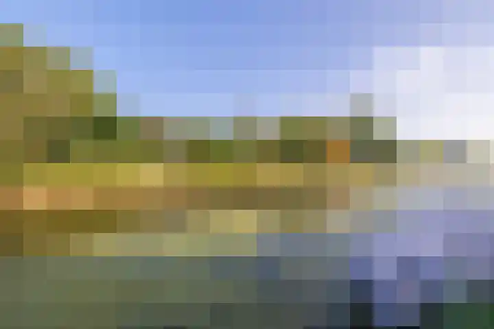 De Waard 25 Groningen thumbnail 17