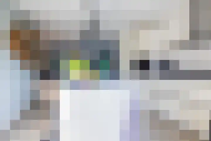 De Waard 25 Groningen thumbnail 20