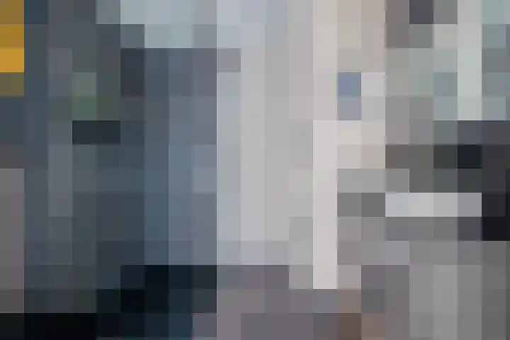 De Waard 25 Groningen thumbnail 30