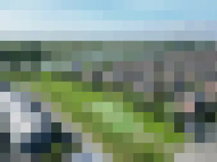 De Waard 25 Groningen thumbnail 42