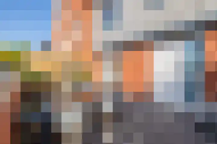 De Waard 25 Groningen thumbnail 6