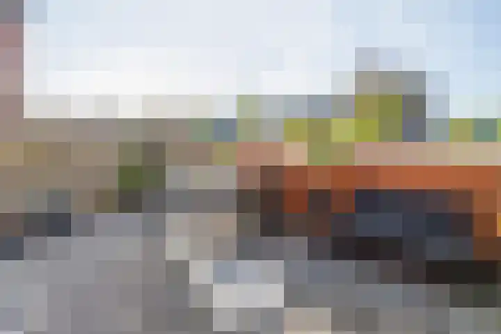 De Waard 25 Groningen thumbnail 7