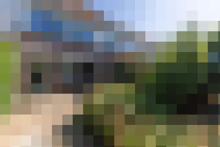 De Waard 28 Heiloo thumbnail 15
