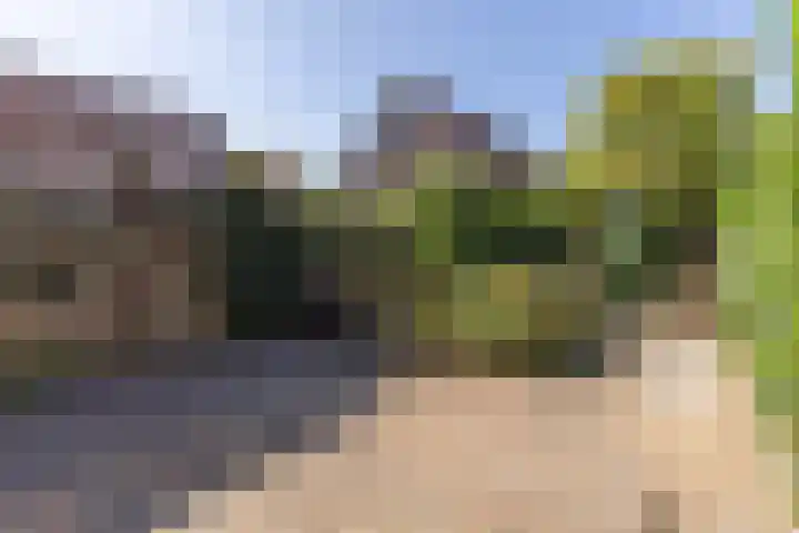 De Waard 28 Heiloo thumbnail 17