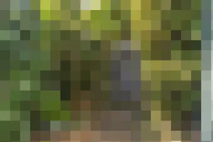De Waard 28 Heiloo thumbnail 18