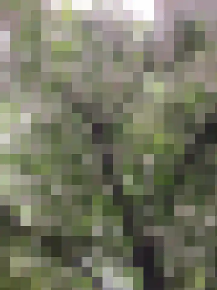 De Waard 28 Heiloo thumbnail 21