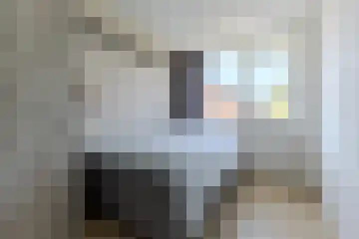 De Waard 28 Heiloo thumbnail 27