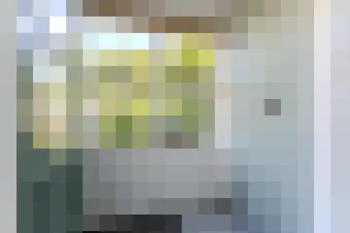 De Waard 28 Heiloo thumbnail 4