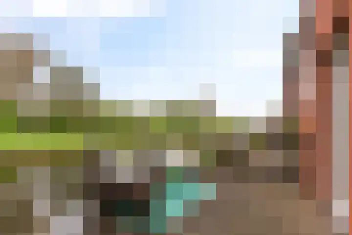 De Waard 35 Groningen thumbnail 37