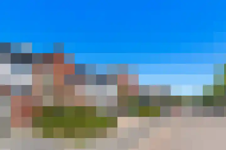 De Waard 35 Groningen thumbnail 42