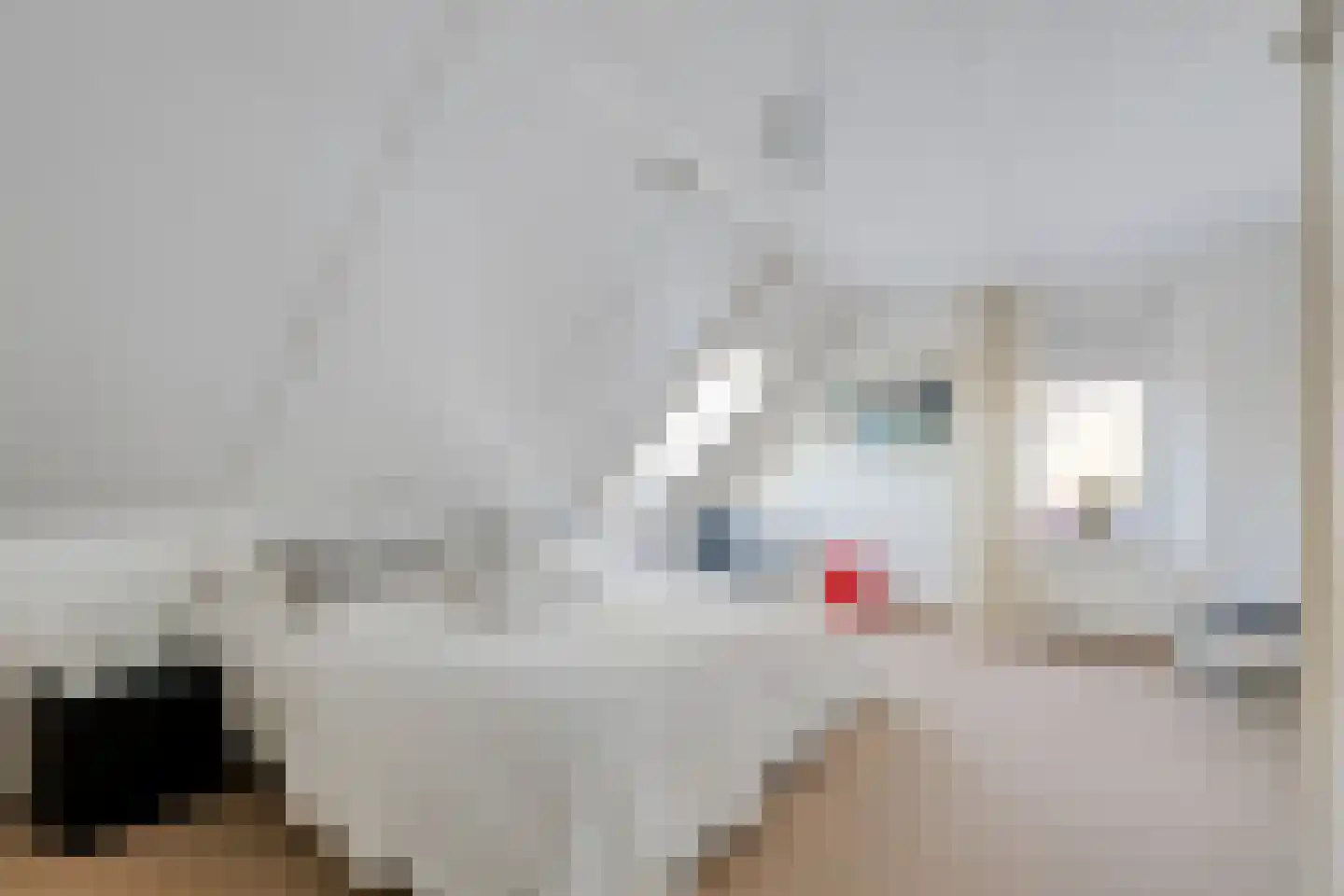 De Waard 7 Heiloo thumbnail 23