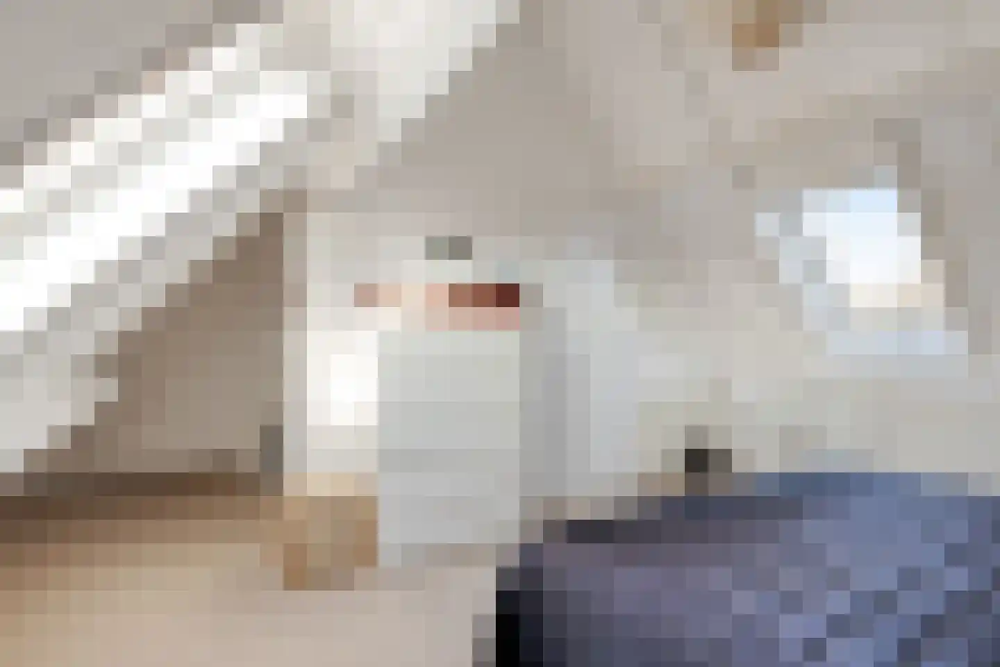 De Waard 7 Heiloo thumbnail 31