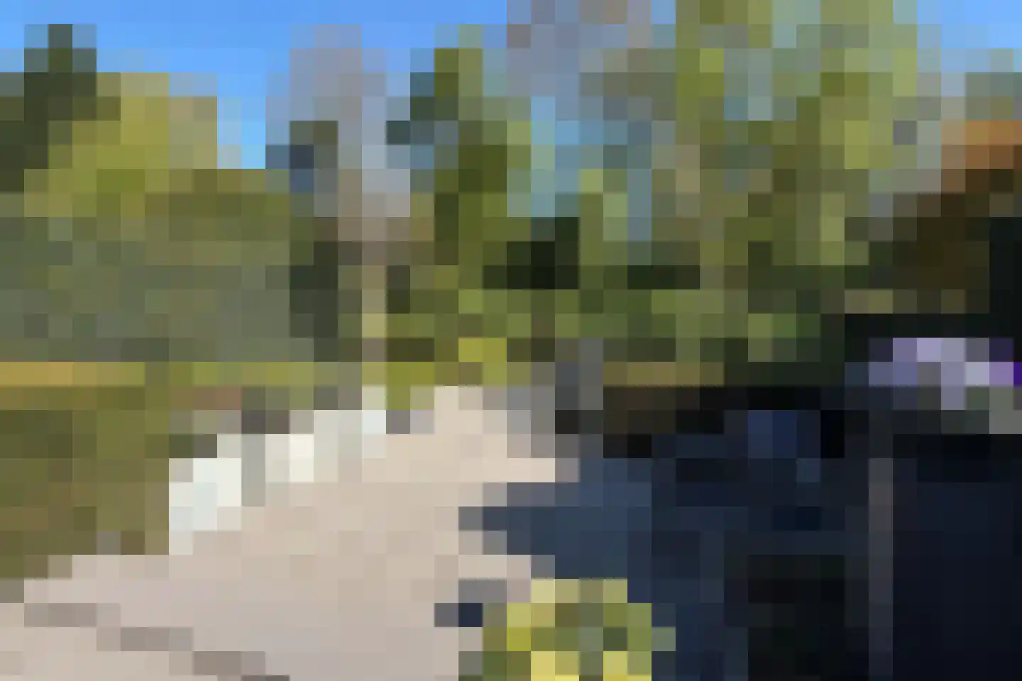 De Waard 7 Heiloo thumbnail 35