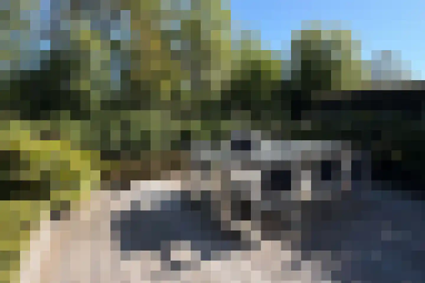 De Waard 7 Heiloo thumbnail 38