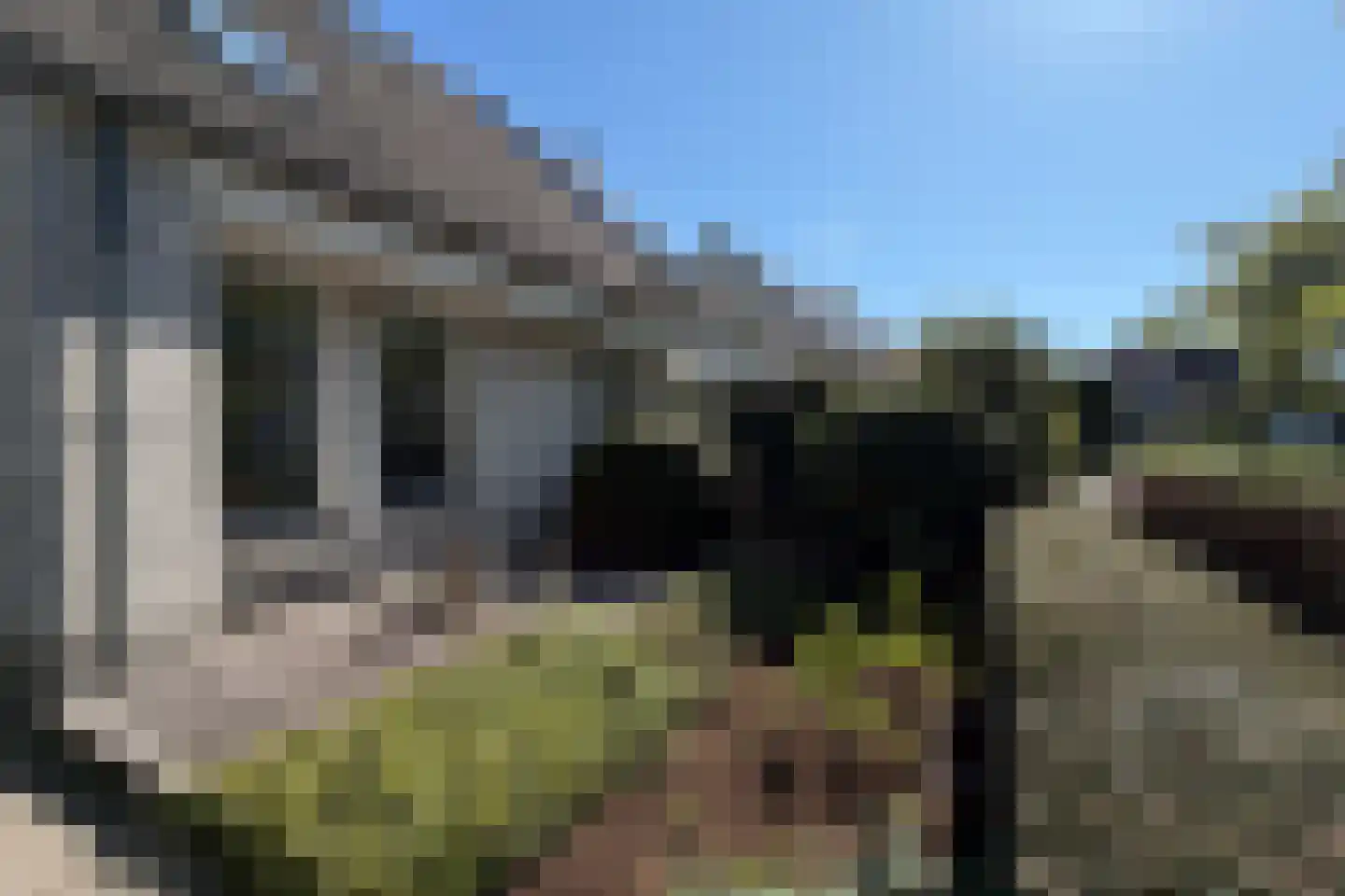 De Waard 7 Heiloo thumbnail 42