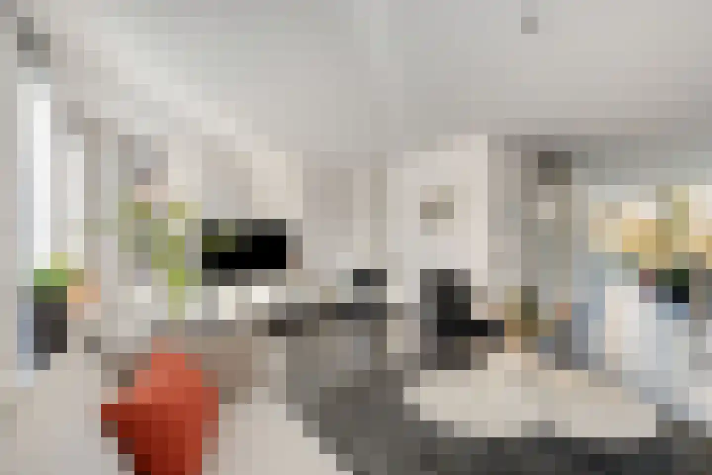De Waard 7 Heiloo thumbnail 5
