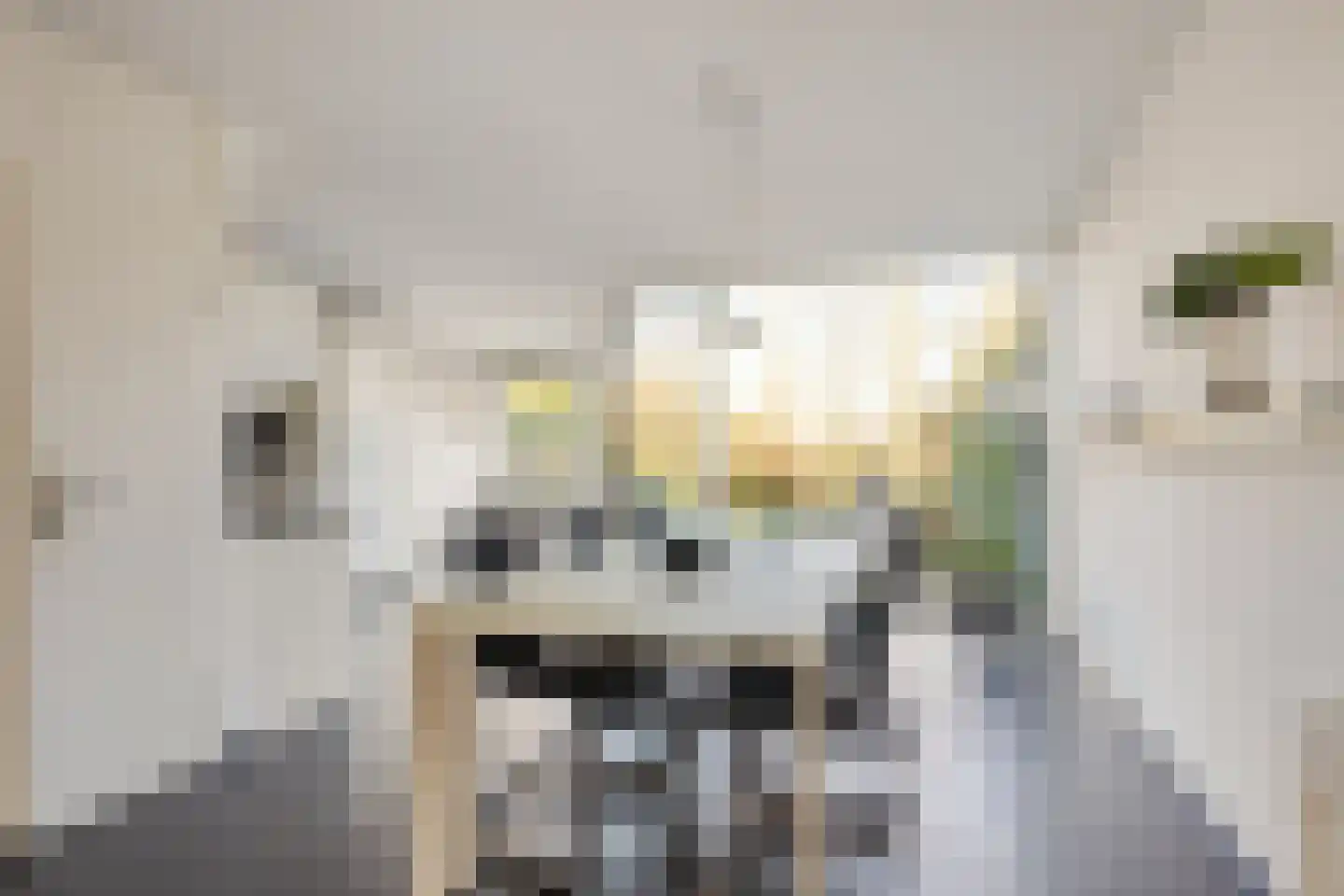 De Waard 7 Heiloo thumbnail 9