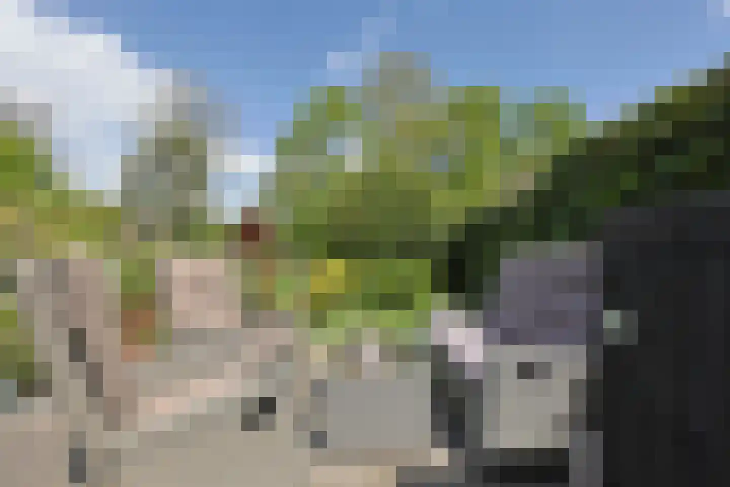 De Waard 9 Heiloo thumbnail 12