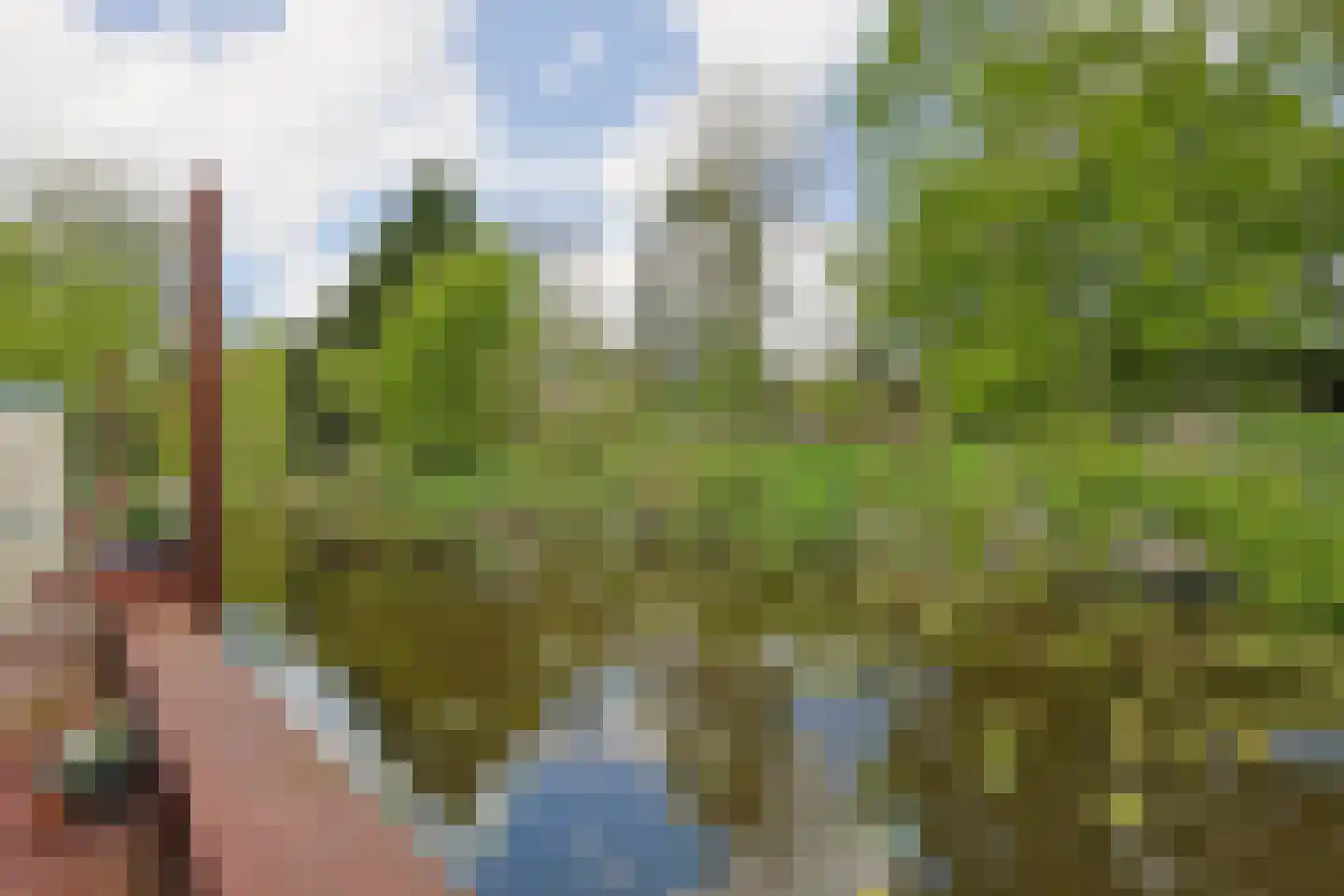 De Waard 9 Heiloo thumbnail 14