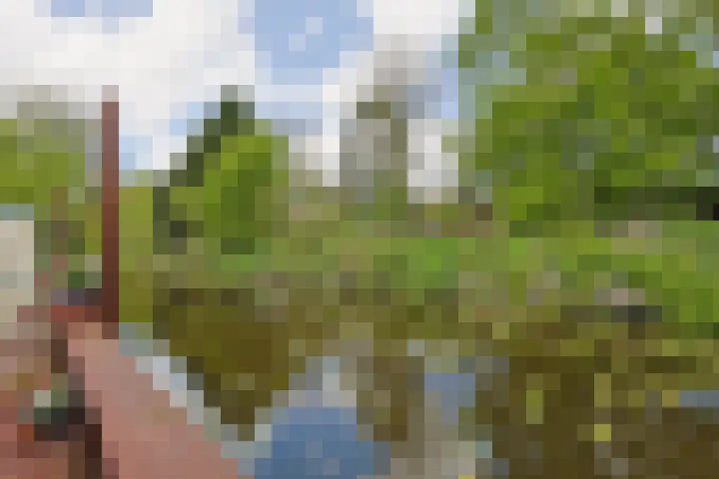 De Waard 9 Heiloo thumbnail 15