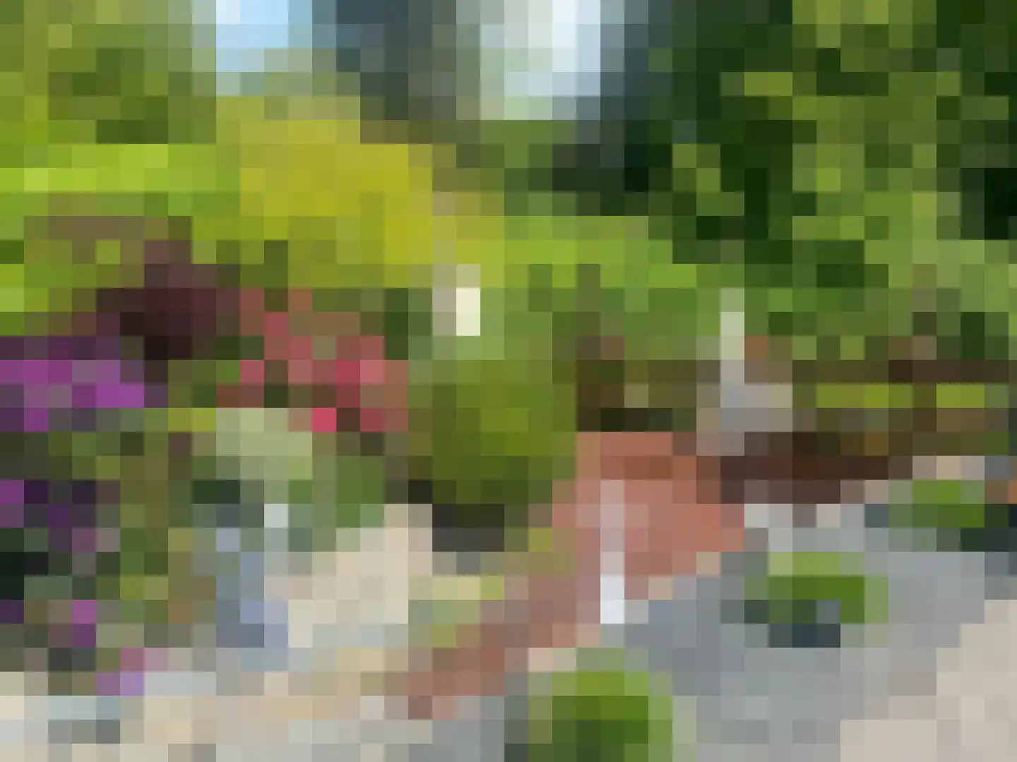 De Waard 9 Heiloo thumbnail 19
