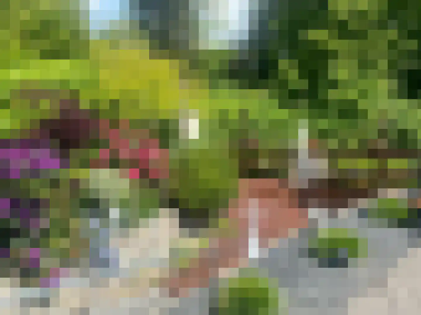 De Waard 9 Heiloo thumbnail 20