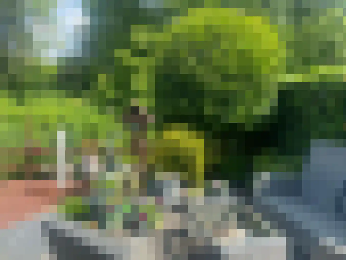 De Waard 9 Heiloo thumbnail 20