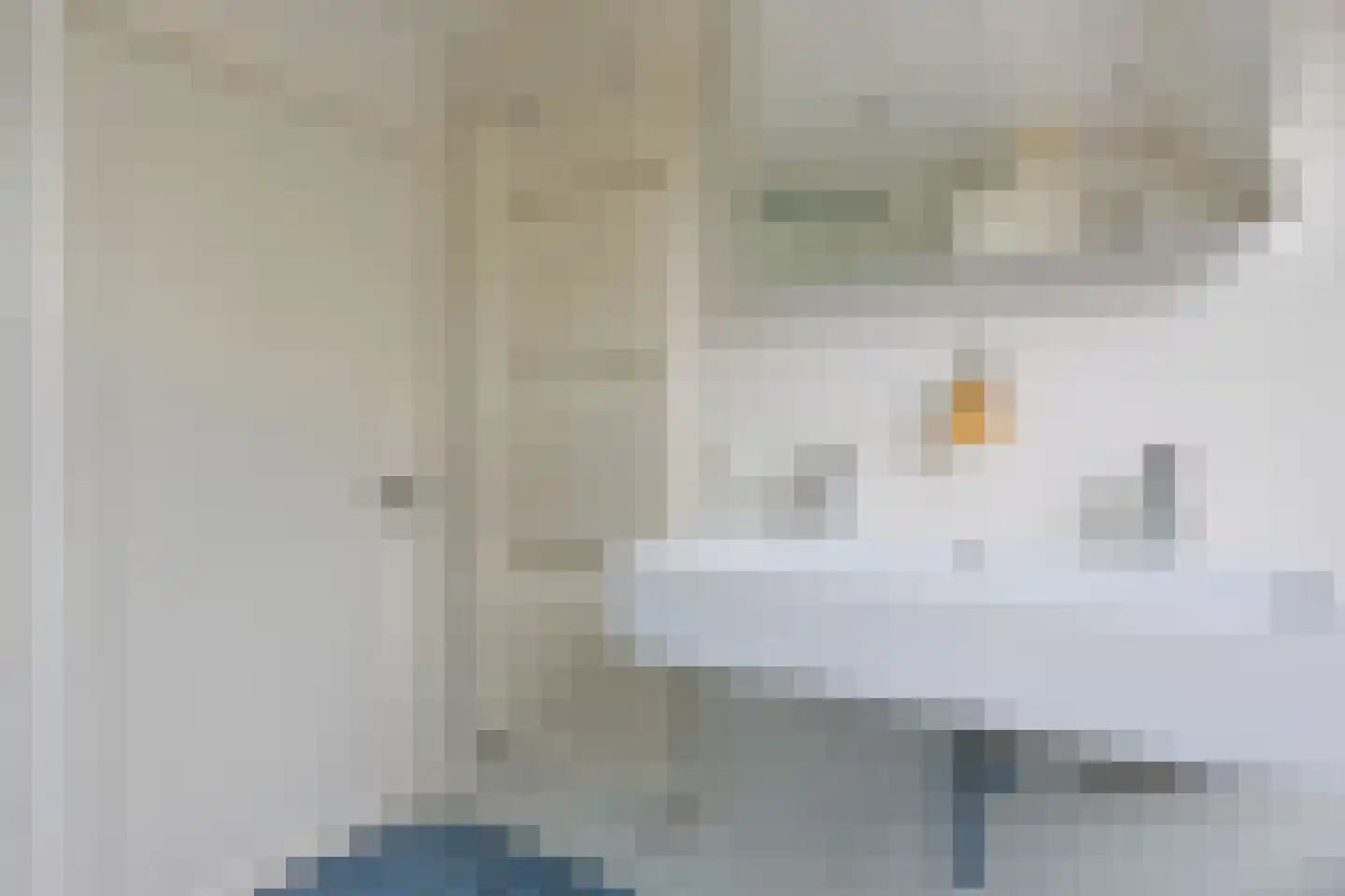 De Waard 9 Heiloo thumbnail 29