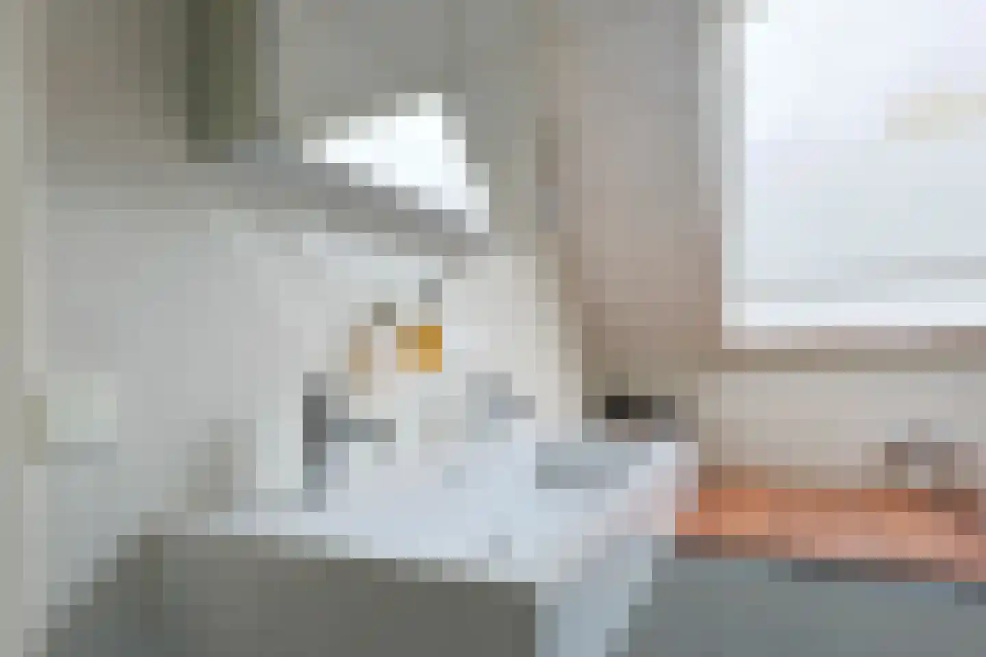 De Waard 9 Heiloo thumbnail 30
