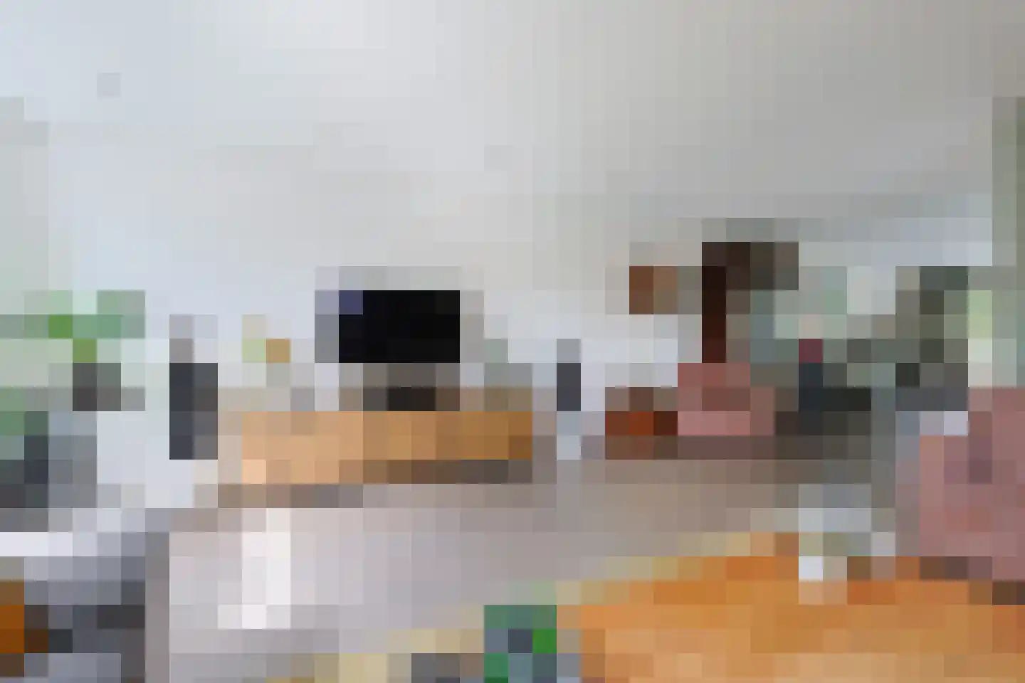 De Waard 9 Heiloo thumbnail 6