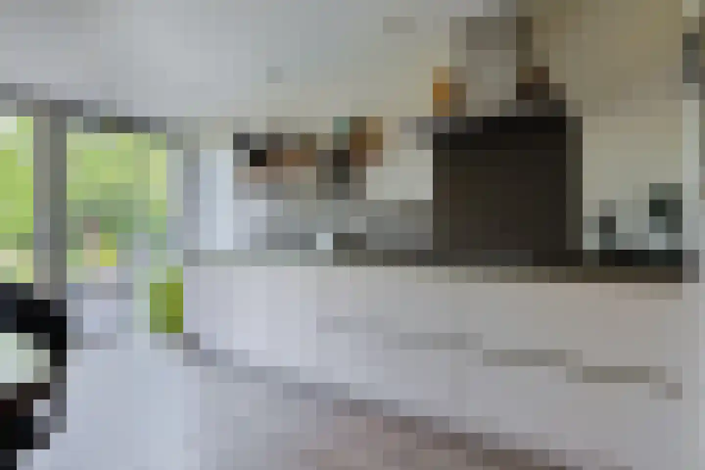De Waard 9 Heiloo thumbnail 9