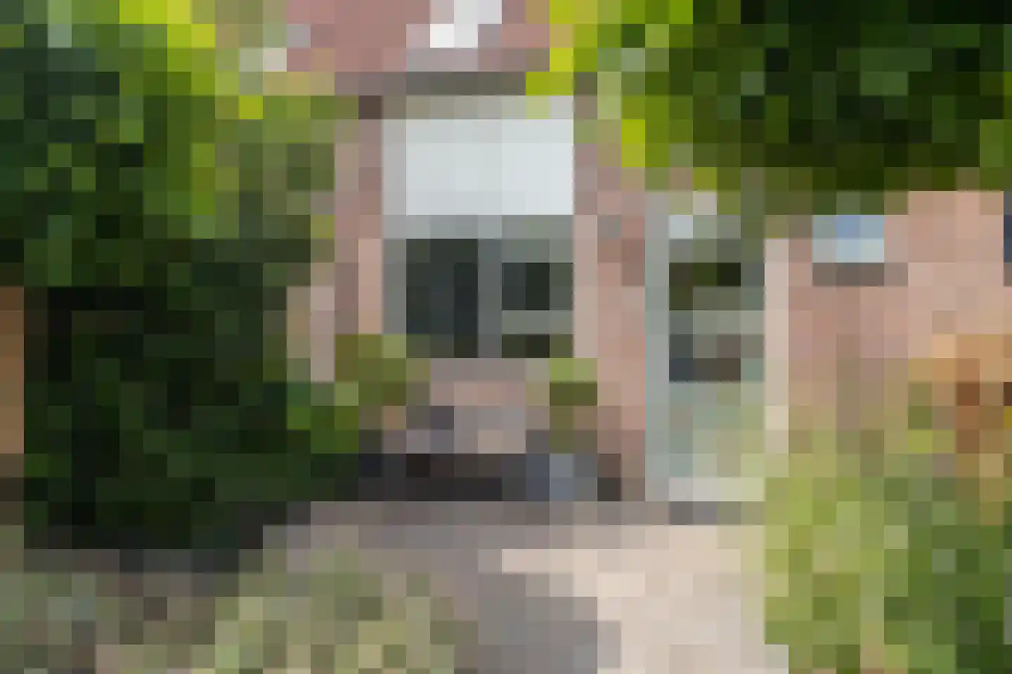 De Waard 91 Heiloo thumbnail 31