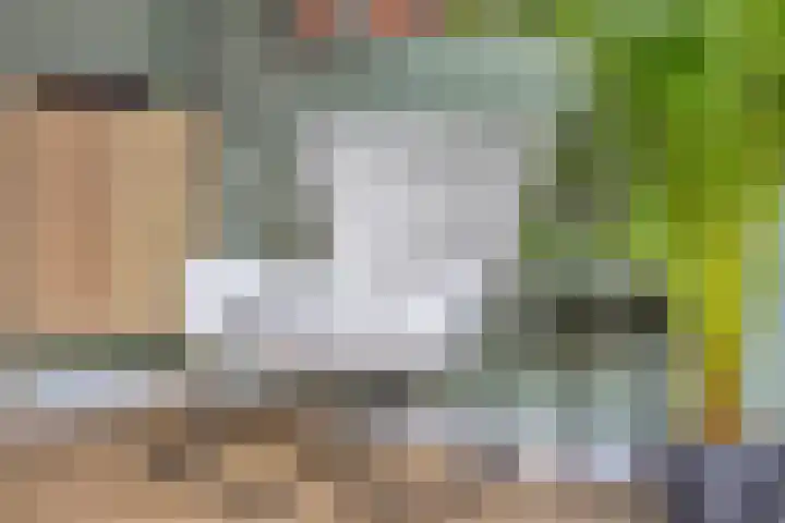 De Waarden 112 Zutphen thumbnail 10