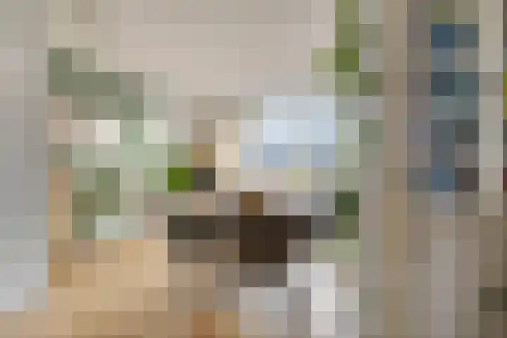 De Waarden 112 Zutphen thumbnail 14