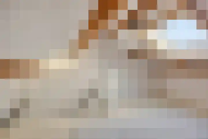 De Waarden 112 Zutphen thumbnail 27