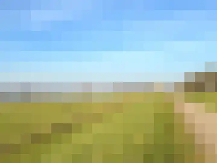 De Waarden 112 Zutphen thumbnail 31