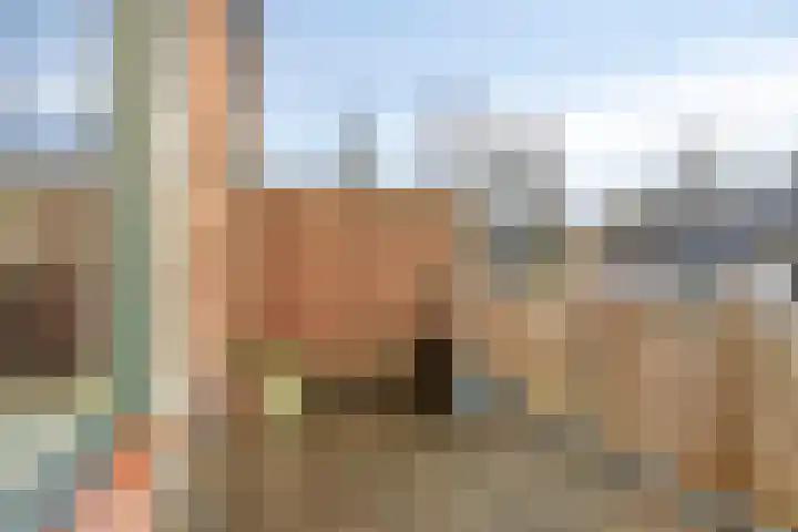 De Waarden 112 Zutphen thumbnail 8
